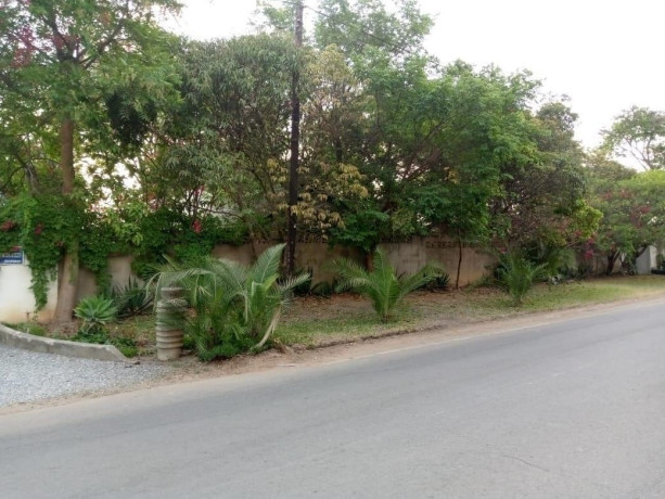 3-bedroom-house-for-rent-in-roma-big-4