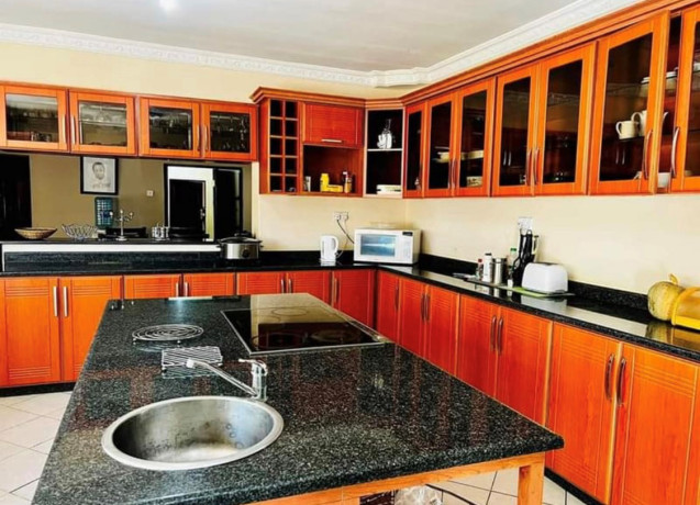 3-bedroom-house-for-rent-in-roma-big-4