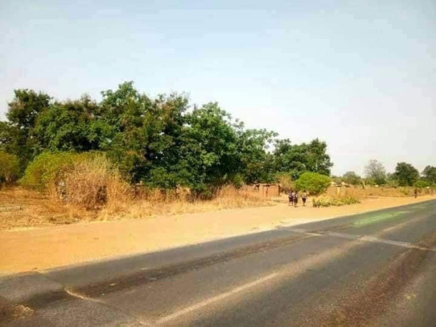 14-acres-of-land-for-sale-in-mumbwa-big-3