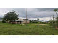 15-hectare-farm-for-sale-in-shimabala-small-0