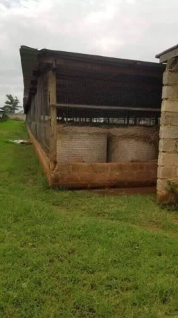 15-hectare-farm-for-sale-in-shimabala-big-3