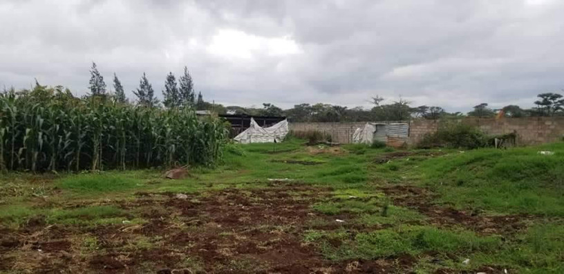 15-hectare-farm-for-sale-in-shimabala-big-5