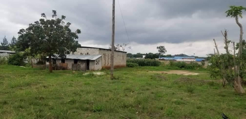 15-hectare-farm-for-sale-in-shimabala-big-0