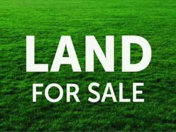 plot-for-sale-in-silverest-big-0