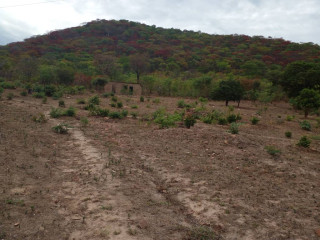 54-hectare-land-for-sale-in-rufunsa