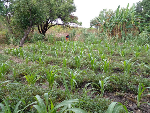 54-hectare-land-for-sale-in-rufunsa-big-5