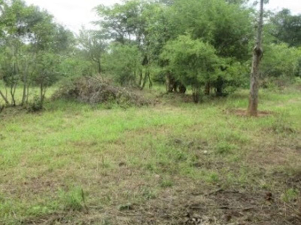 2400-sq-mt-of-land-for-sale-in-maramba-big-2