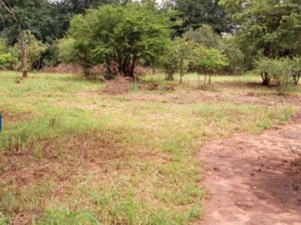 2400-sq-mt-of-land-for-sale-in-maramba-big-0