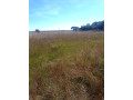bare-land-for-sale-in-mungule-area-small-1
