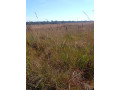 bare-land-for-sale-in-mungule-area-small-0