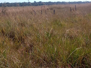 bare-land-for-sale-in-mungule-area