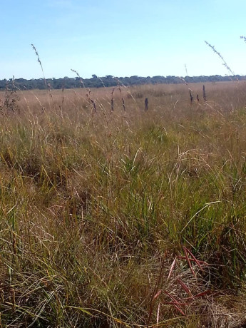 bare-land-for-sale-in-mungule-area-big-0