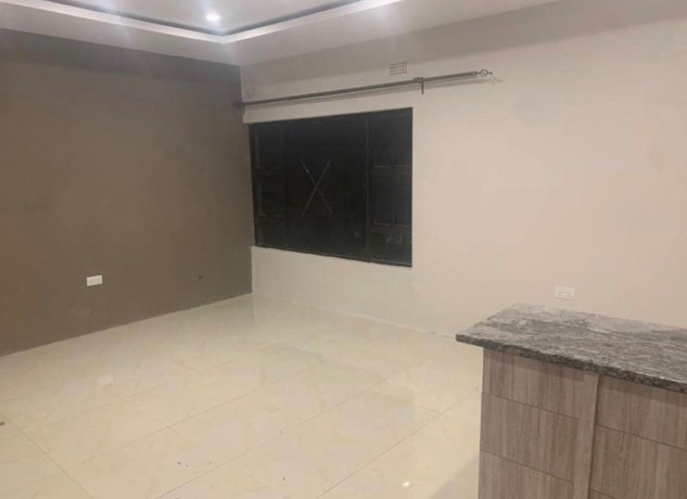 2-bedroom-flat-for-rent-in-palabana-big-5