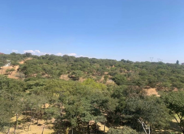 1-acre-plots-for-sale-in-new-kasama-big-0