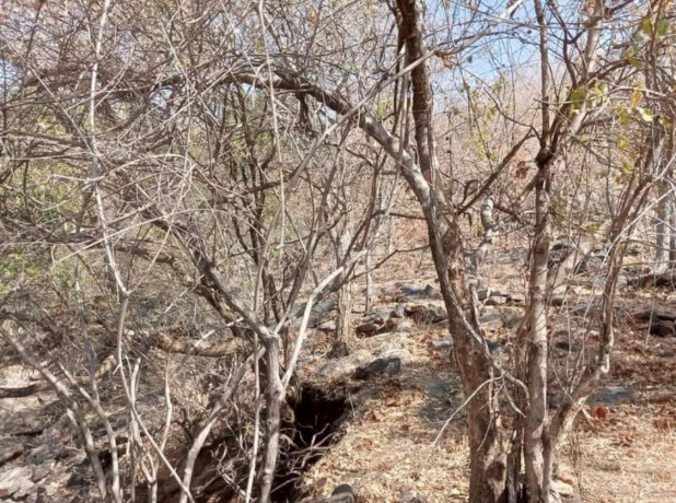 13-acre-plot-for-sale-in-siavonga-big-2