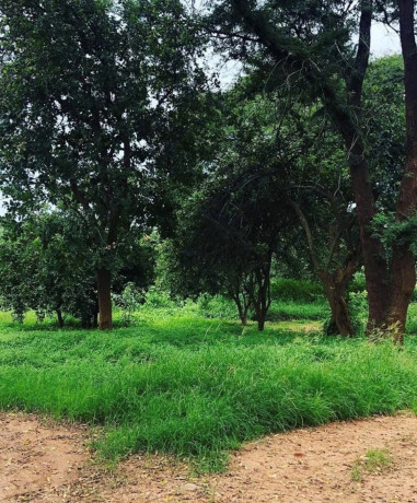 plots-for-sale-in-foxdale-big-0