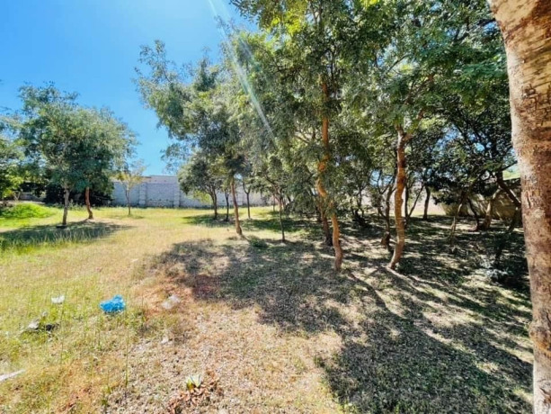 plot-for-sale-in-foxdale-big-5