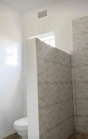 1-bedroom-flat-for-rent-in-ibex-hill-big-5