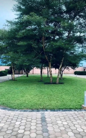 2-bedroom-apartment-for-rent-in-ibex-hill-big-2