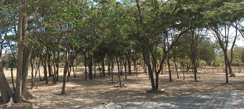 2-bedroom-flat-for-rent-in-ibex-hill-big-9