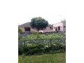 4-bedroom-house-for-rent-in-ibex-meanwood-small-5