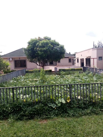 4-bedroom-house-for-rent-in-ibex-meanwood-big-5