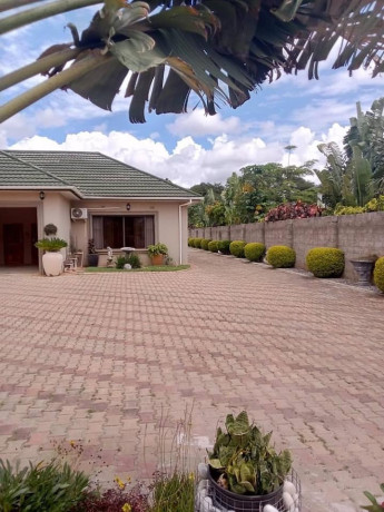 4-bedroom-house-for-rent-in-ibex-meanwood-big-7