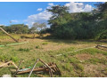 800-acre-plot-for-sale-in-palabana-small-3