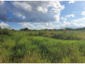 800-acre-plot-for-sale-in-palabana-small-4