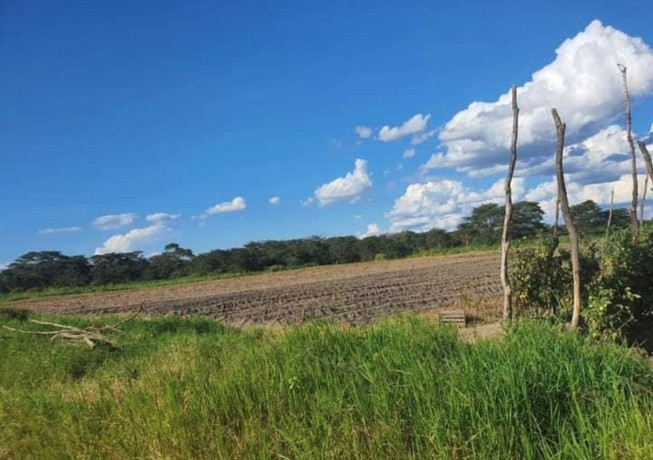 800-acre-plot-for-sale-in-palabana-big-5