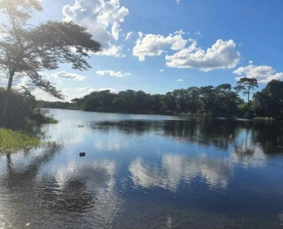 800-acre-plot-for-sale-in-palabana-big-0