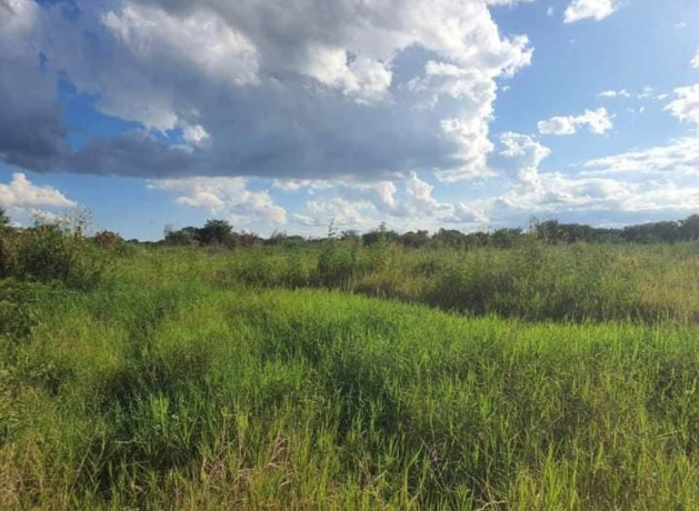 800-acre-plot-for-sale-in-palabana-big-4