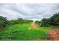 10-acres-land-for-sale-in-new-kasama-small-2
