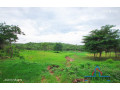 10-acres-land-for-sale-in-new-kasama-small-0