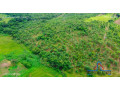 10-acres-land-for-sale-in-new-kasama-small-6