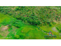 10-acres-land-for-sale-in-new-kasama-small-5