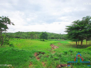 10-acres-land-for-sale-in-new-kasama