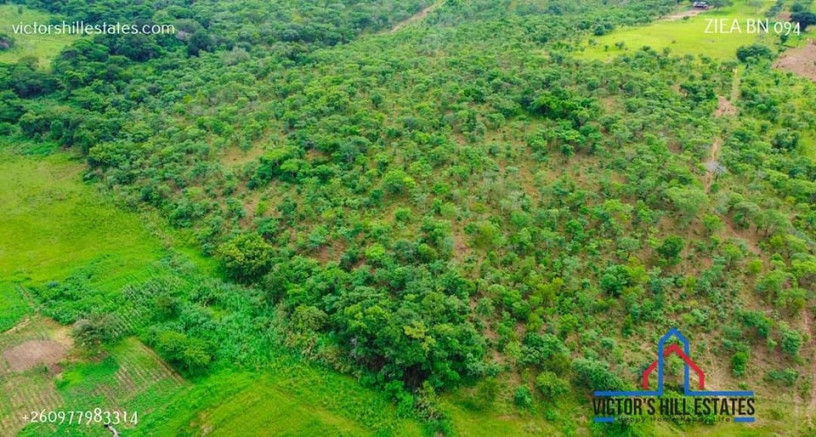 10-acres-land-for-sale-in-new-kasama-big-6
