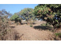 plot-for-sale-in-chalala-small-1