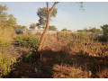 plot-for-sale-in-chalala-small-0