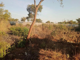 plot-for-sale-in-chalala