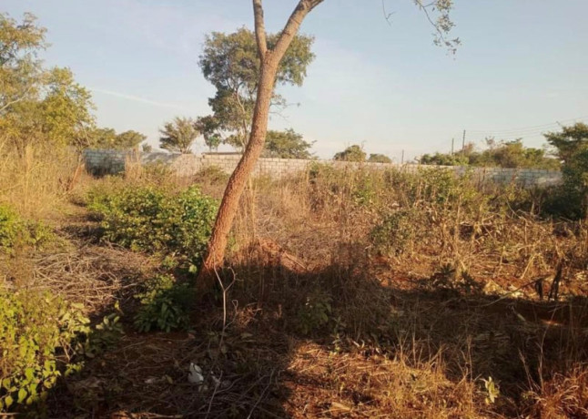 plot-for-sale-in-chalala-big-0