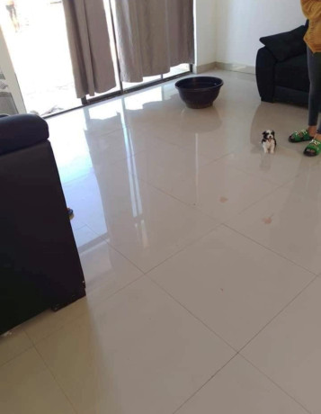 3-bedroom-flat-for-rent-in-ibex-meanwood-big-4