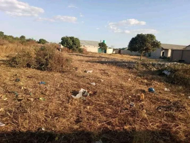 20m-by-35m-plot-for-sale-in-lusaka-south-big-1
