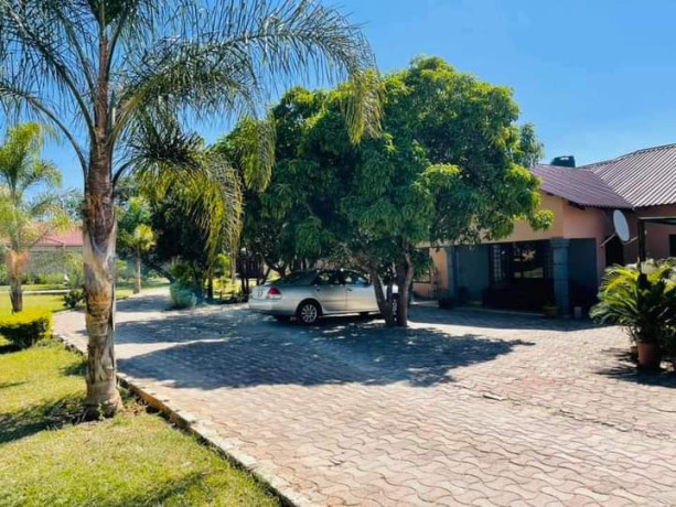 63-bedroom-flats-for-sale-in-ibex-hill-main-street-big-6