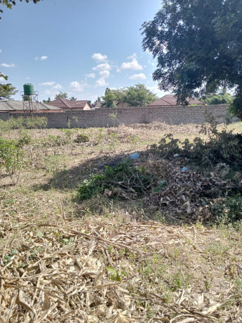 land-for-sale-in-ibex-hill-big-1