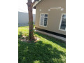 3-bedroom-house-for-sale-in-meanwood-chamba-valley-small-4