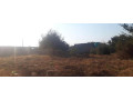 plot-for-sale-in-lilayi-small-0