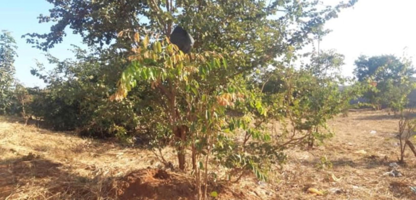 plot-for-sale-in-lilayi-big-1