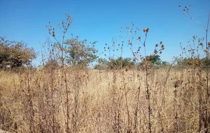 plot-for-sale-in-lilayi-big-0